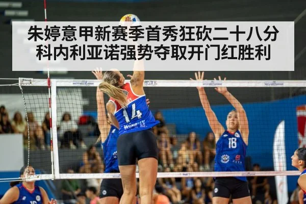 volleyball match action