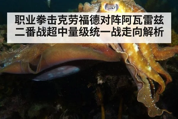 职业拳击克劳福德对阵阿瓦雷兹二番战超中量级统一战走向解析